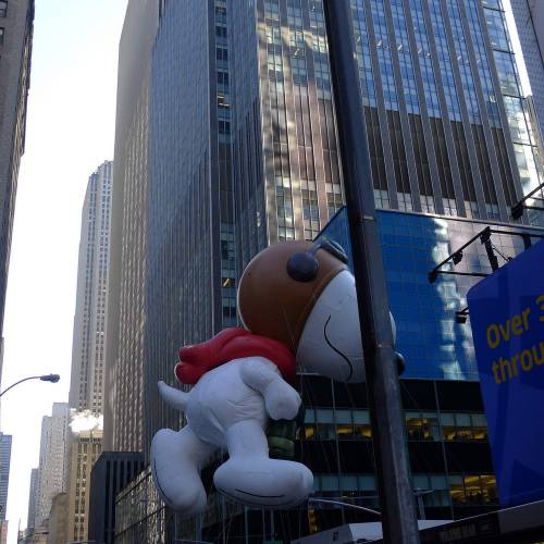USA_2011-11-24 10-25-13